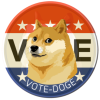vote doge logo